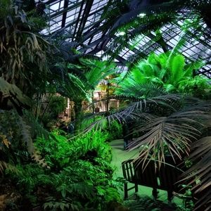 Meet your Posher, Dong